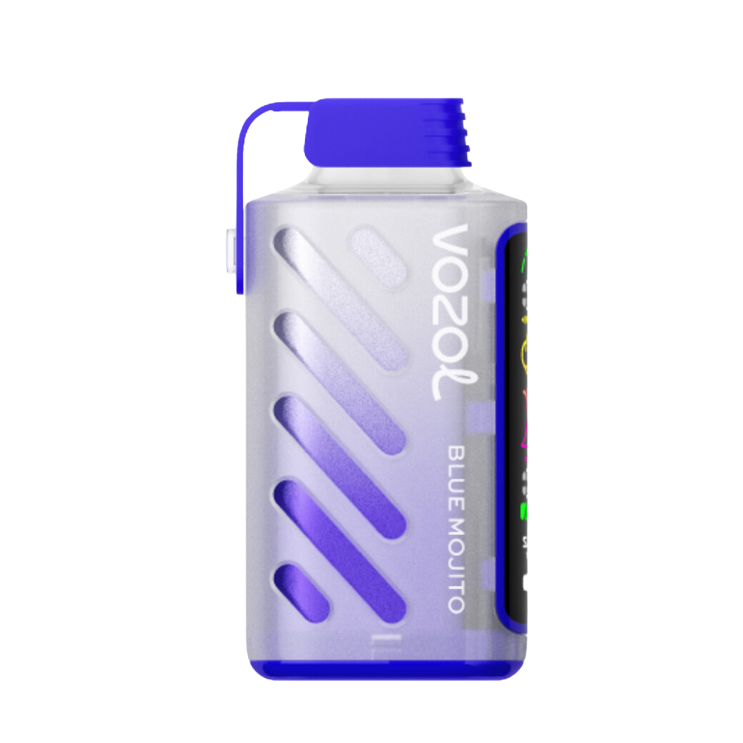 VOZOL Gear Power 20000 | Blue Mojito