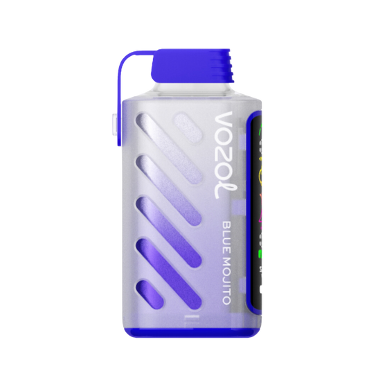 VOZOL Gear Power 20000 | Blue Mojito