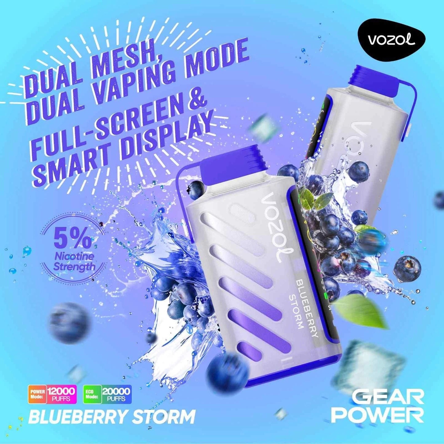 VOZOL Gear Power 20000 | Blueberry Storm