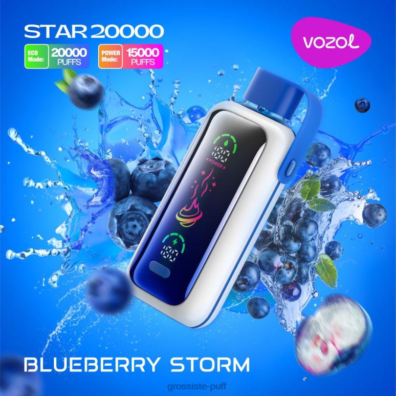 VOZOL STAR 20000|Blueberry Storm