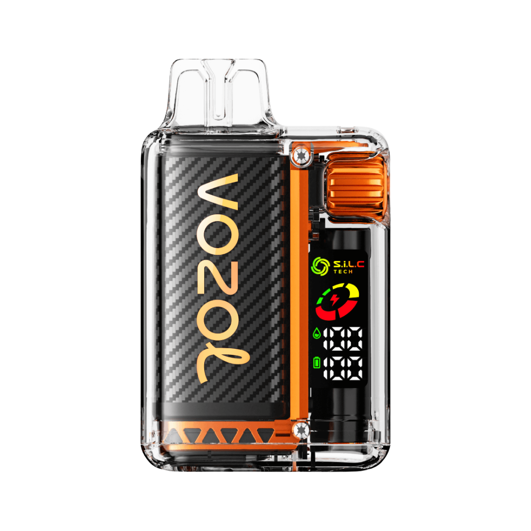 VOZOL VISTA 20000| Mango Ice