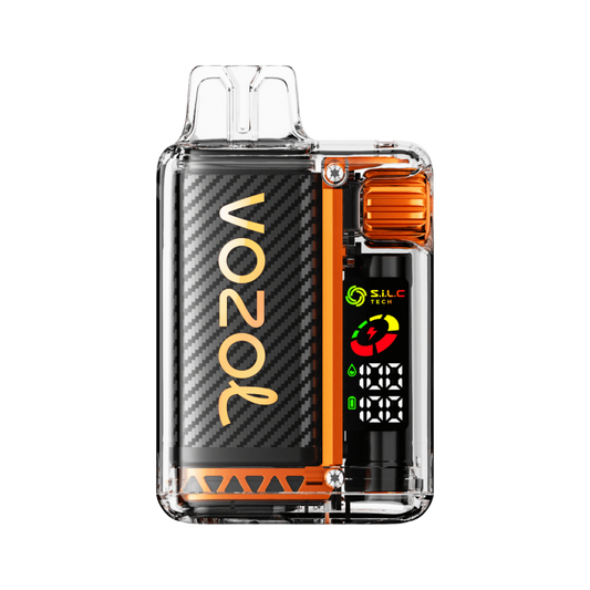 VOZOL VISTA 20000| Mango Ice