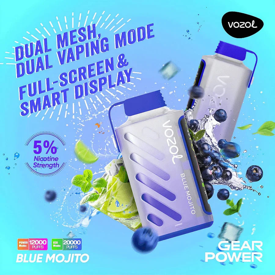 VOZOL Gear Power 20000 | Blue Mojito